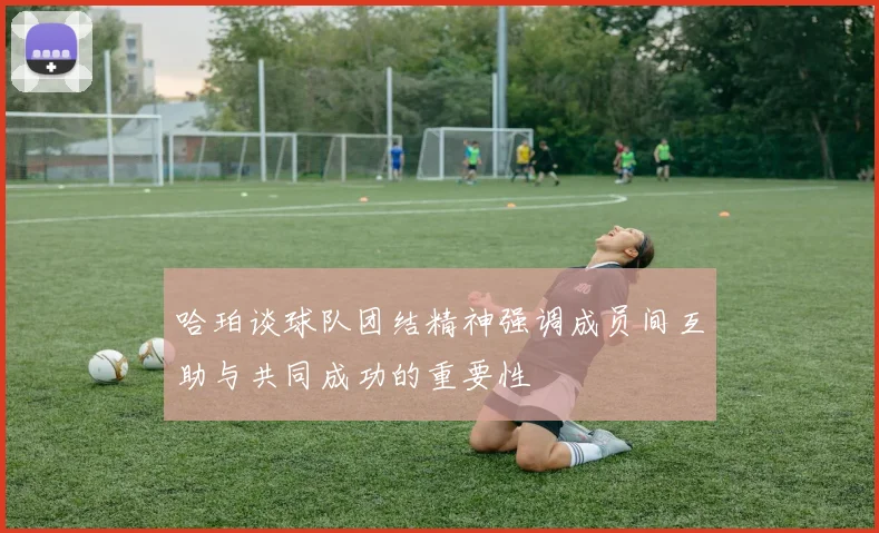 哈珀谈球队团结精神强调成员间互助与共同成功的重要性